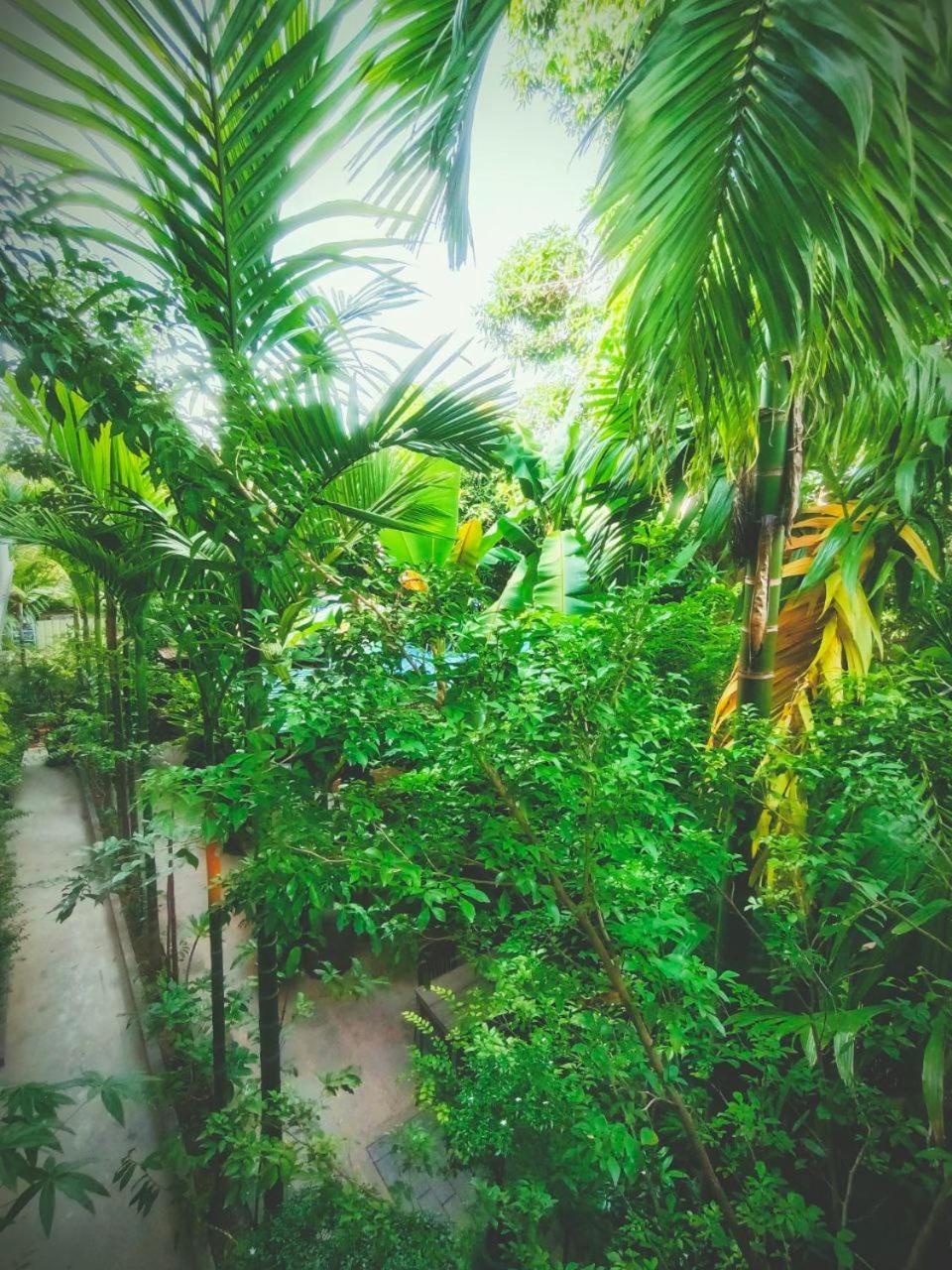 Green Stay Village Siem Reap Exteriör bild